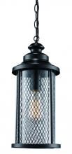  40746 BK - Stewart 20.5" Hanging Lantern